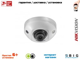 № 100071 Купить DS-2CD2523G0-IWS Нижний Новгород