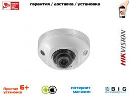 № 100074 Купить DS-2CD2543G0-IS Нижний Новгород